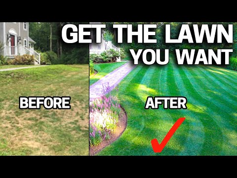 Thumbnail for How to FIX an UGLY Lawn with RESULTS - Step by Step for Beginners EASY