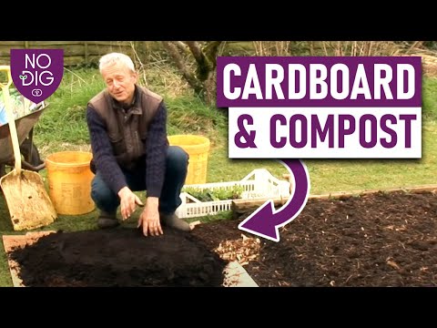 Thumbnail for No-Dig Gardening for Beginners: Step-by-Step Guide with Cardboard and Compost