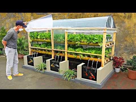 Thumbnail for Farmer taught how to DIY aquarium and greenhouse to grow aquatic vegetables