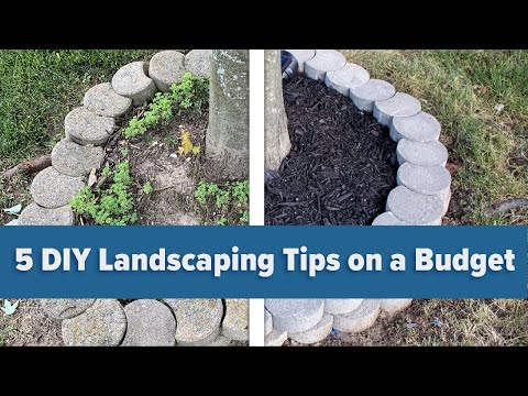 Thumbnail for 5 DIY Landscaping Tips on a Budget
